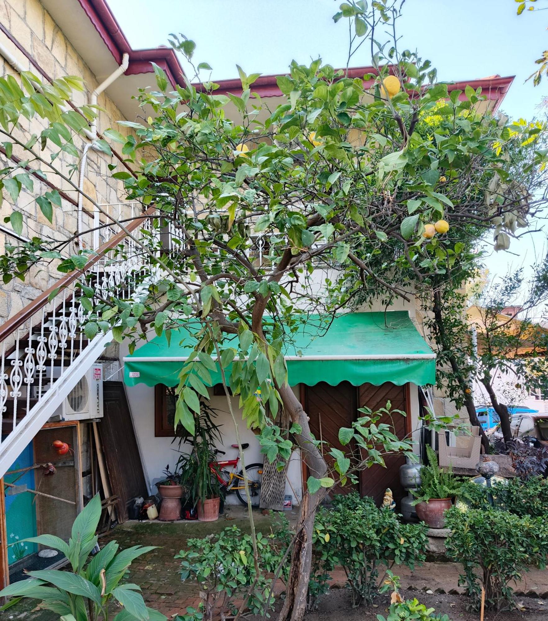 Beach House Apartment Сіде Екстер'єр фото